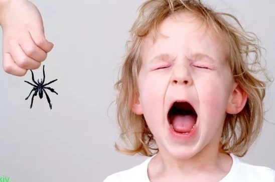 Детские страхи: страх насекомых